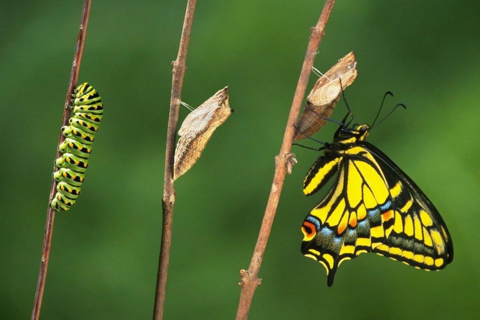 Oltre il recinto c’è la vita. Cambiare si&nbsp;può